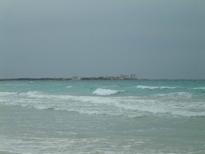 DSCF0060.JPG